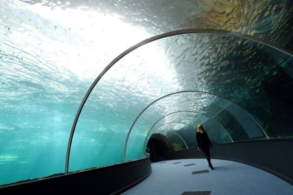 La Perle Marine :Boulogne Sur Mer Esterno foto