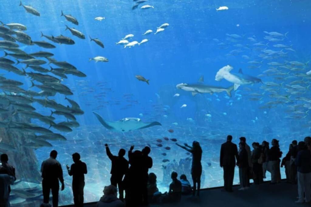 La Perle Marine :Boulogne Sur Mer Esterno foto