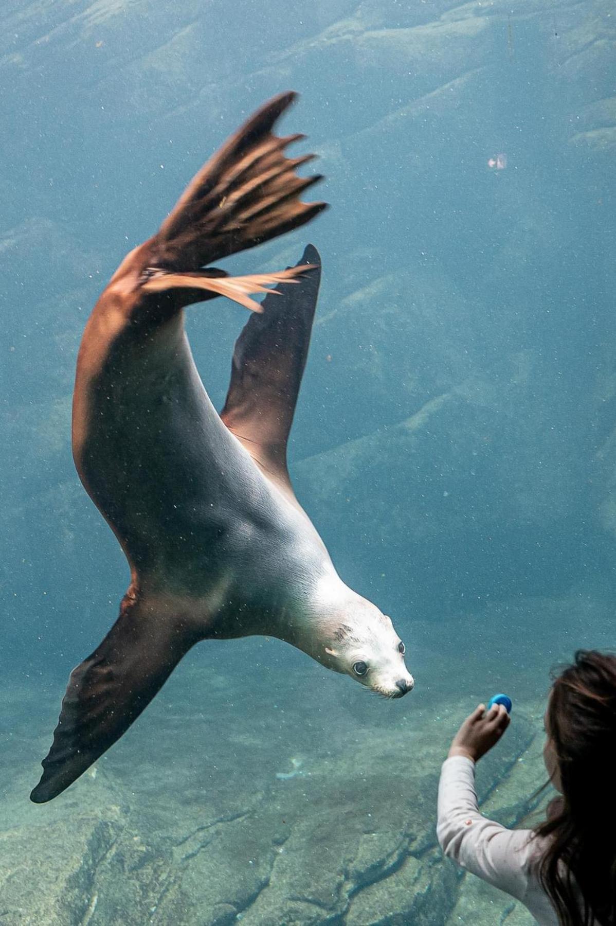La Perle Marine :Boulogne Sur Mer Esterno foto